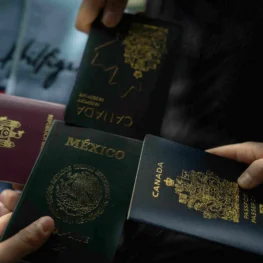 Global Visit Visa Services